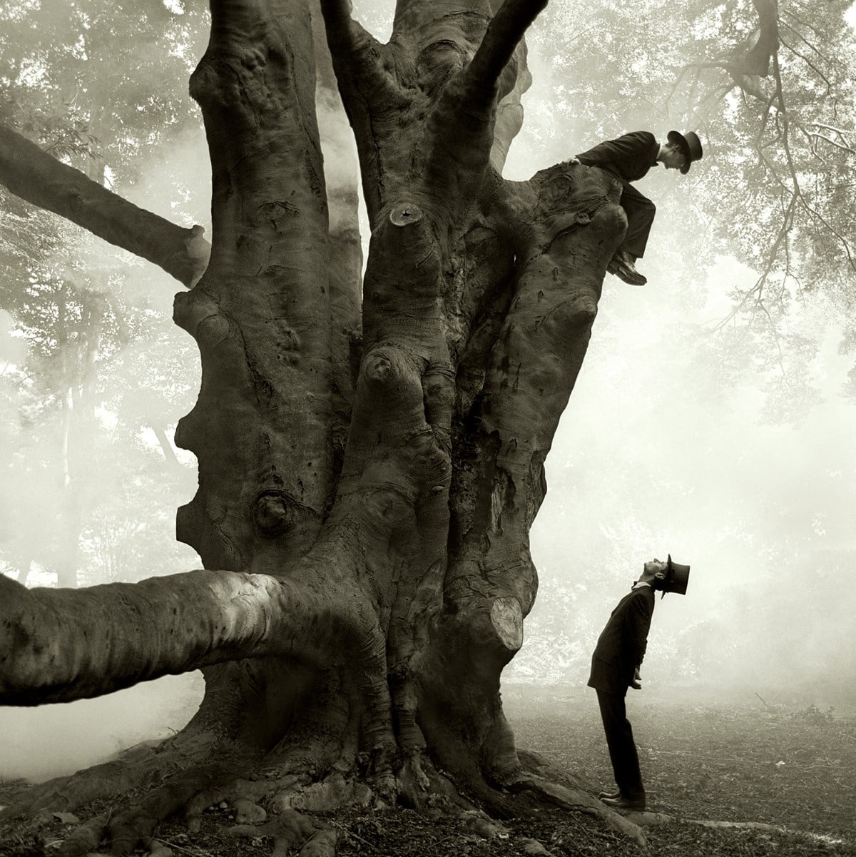 Twins in the Tree by Rodney Smith