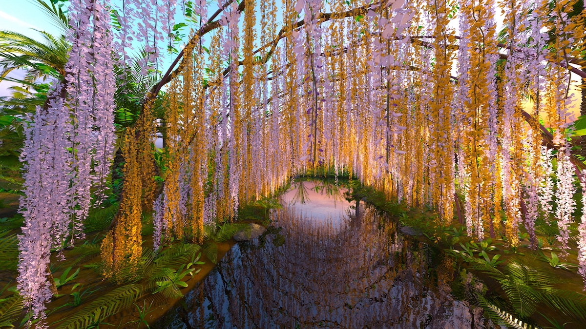 Wisteria Tree in Japan