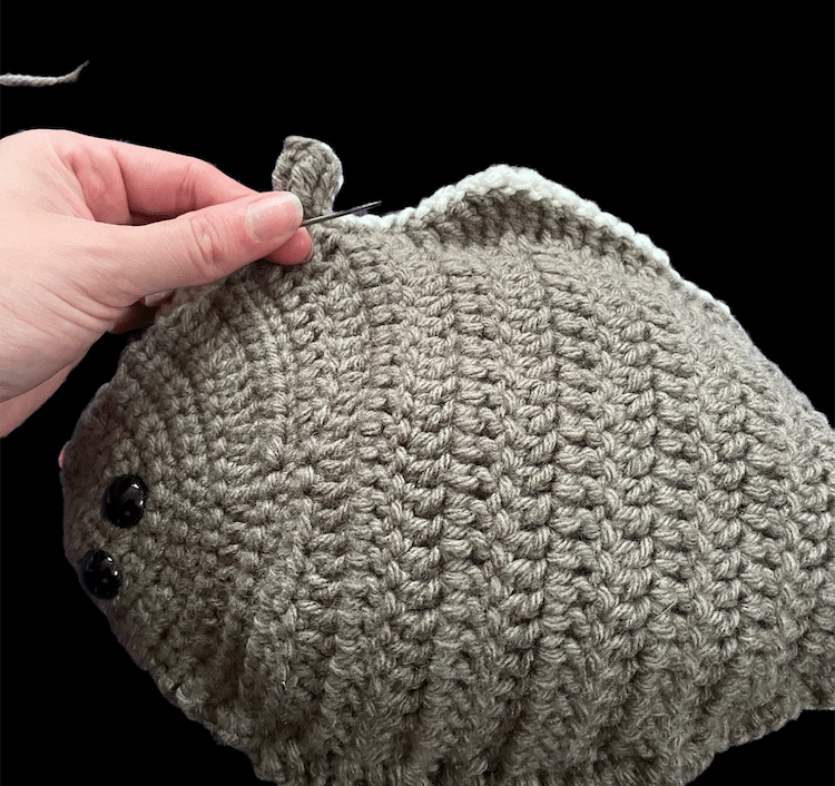 Free Fish Crochet Pattern by the National Park Service